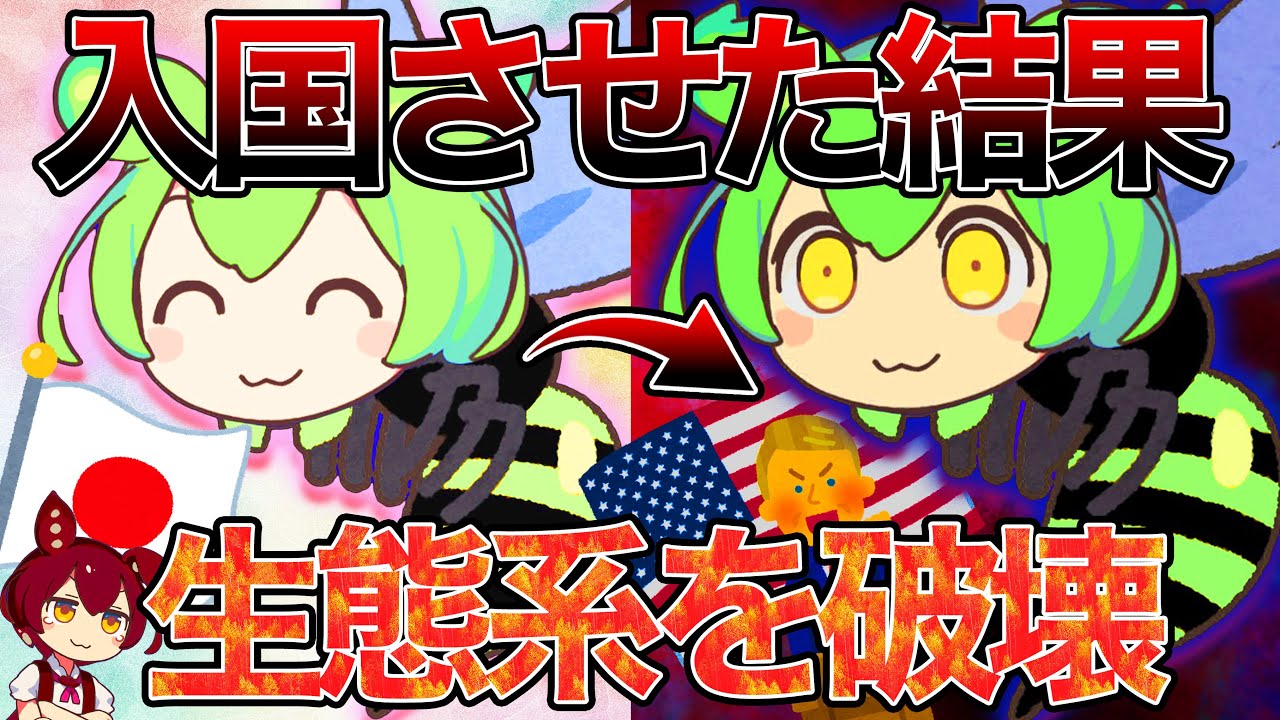 日本最強「オオスズメバチ」がアメリカに与えた影響がヤバすぎる【ずんだもん＆ゆっくり解説】