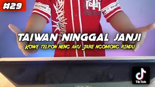DJ TAIWAN NINGGAL JANJI • MALA AGATHA | DJ TERBARU 2022
