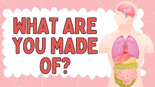 Let's Learn about the Human Body | Explore What's Inside of You | The Kids Channel | Fun Learning