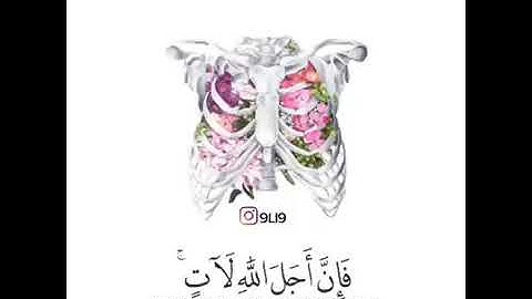 سورة العنكبوت (ومن جاهد فإنما يجاهد لنفسه ) عبد الرحمن مسعد# جميل جدا 😍