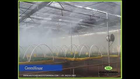 Green House Humidification | Greenhouse Fogging And Propogation Misting System