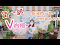 【A&Y多肉新手】V肉格 EP.1 - 夏の植感市集｜台南南紡購物廣場｜Buying Succulents Vlog