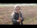 Welcome to Yutaka Farm