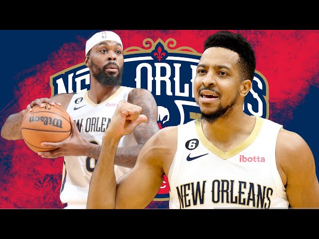 New Orleans Pelicans  New orleans pelicans, New orleans, Pelican