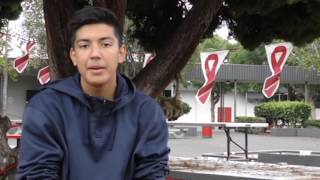 Rebel TV - November 1, 2016