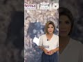 🚨 Tras la caída de El Mencho… capturan a quien podría tomar el control