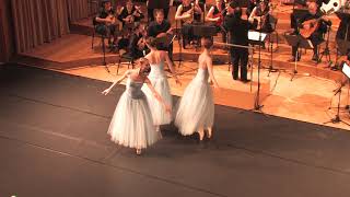 Tchaikovsky The Nutcracker Waltz Of The Flowers - Orkester Mandolina Ljubljana Cond. Andrej Zupan