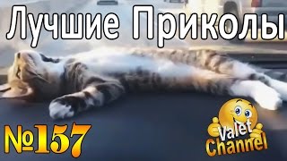 ПРИКОЛЫ-ВИДЕО | Лучшая подборка приколов - Funny Videos ПРИКОЛЫ-ВИДЕО | Лучшая подборка приколов - Funny Videos