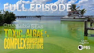 Toxic Algae: Complex Sources and Solutions - Full Episode