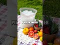 The Magic of Homemade Ice Cream in a Bag