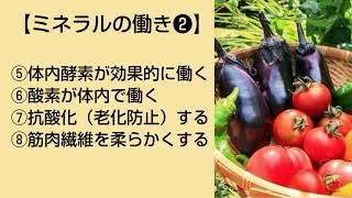 株式会社フューチャーエナジー-アミノミネラル