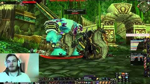 Flying Berserker bug in Zul Gurub