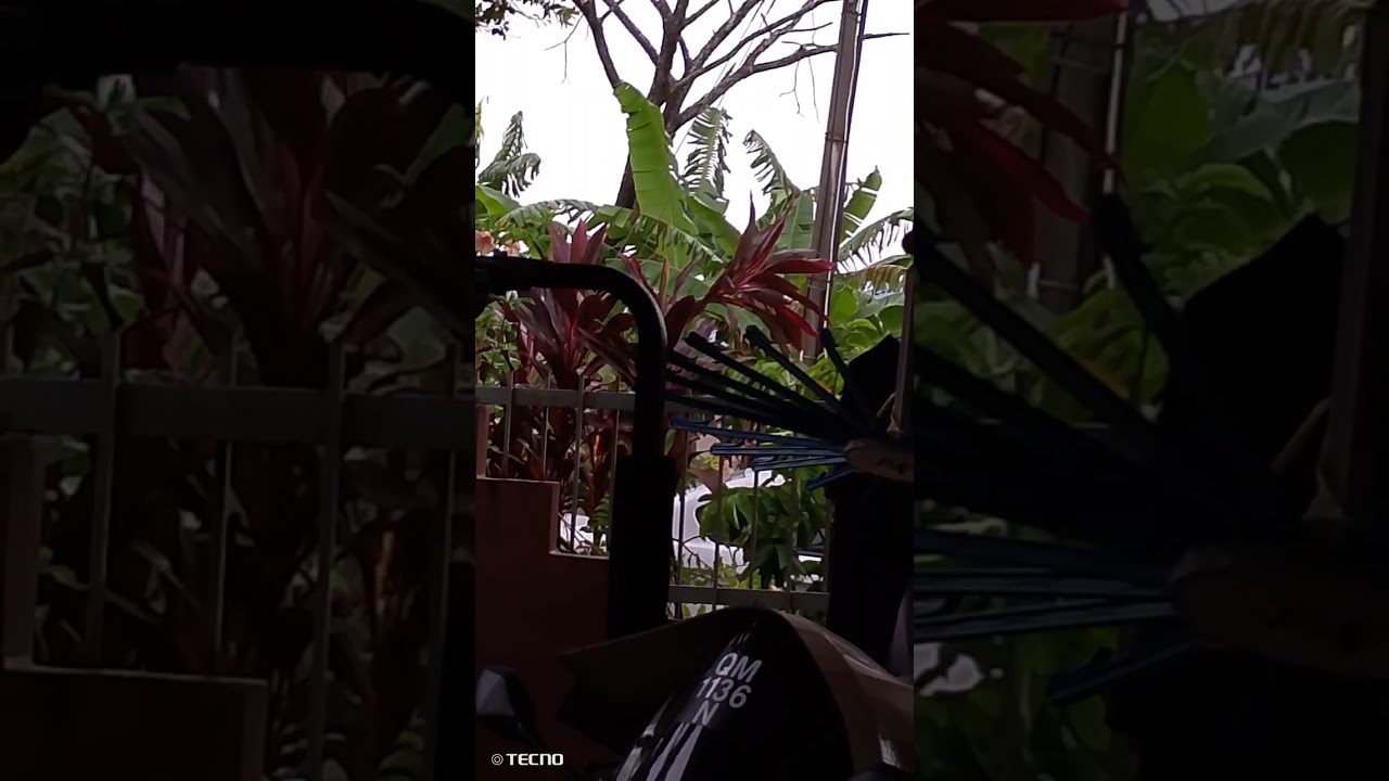 Jerita Serit Tusun Ke 15