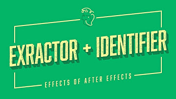 EXtractoR + IDentifier | Effects of After Effects