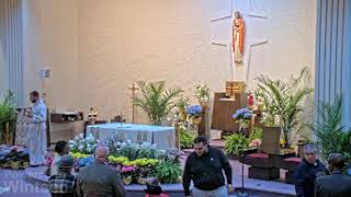 Corpus Christi Live Stream