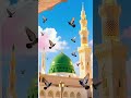 Dekhun main Jidhar se sirf Najar Aaye Madina 🕋🤲🏼🤲🏼 Islamic short video