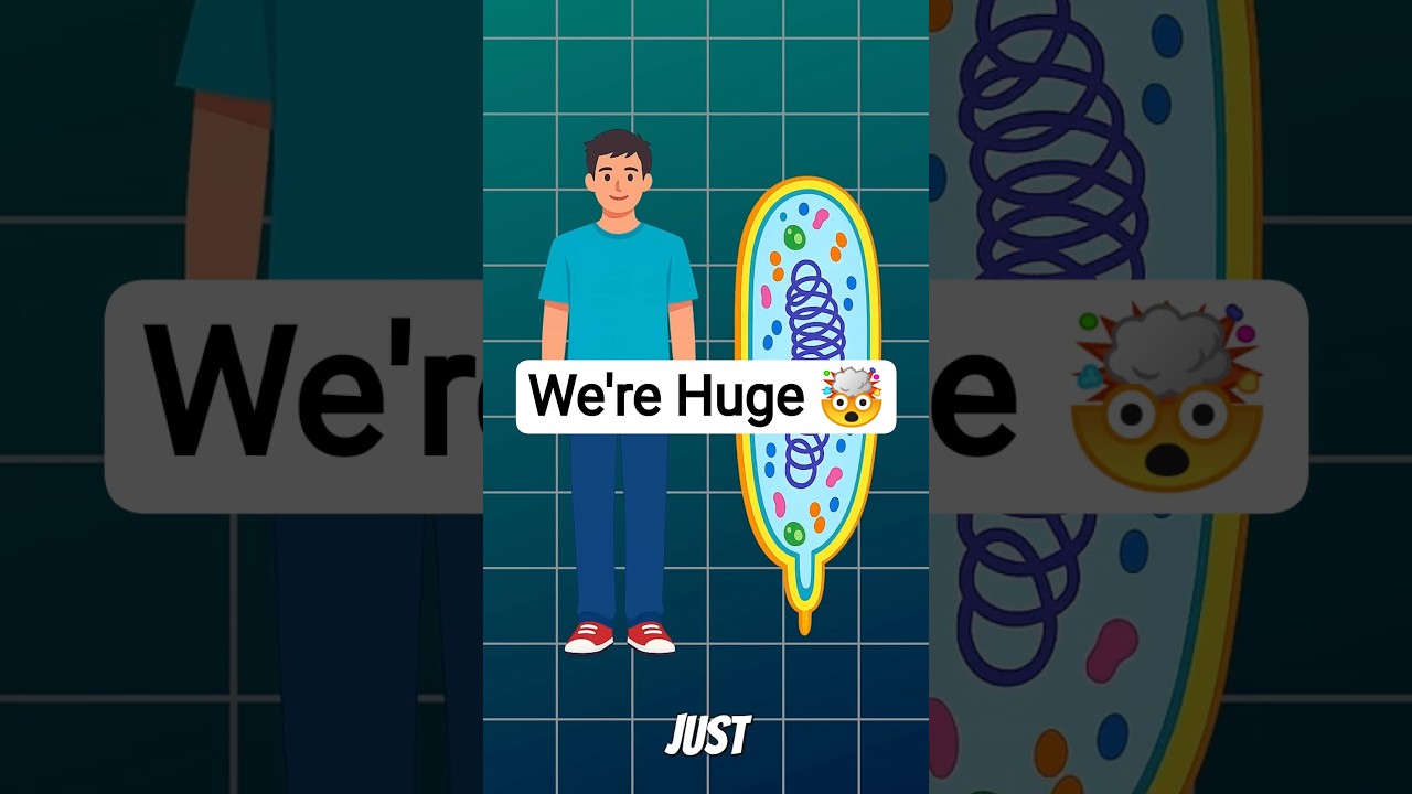 You are a planet compared to bacteria 🤯 #mindblown #sciencefacts