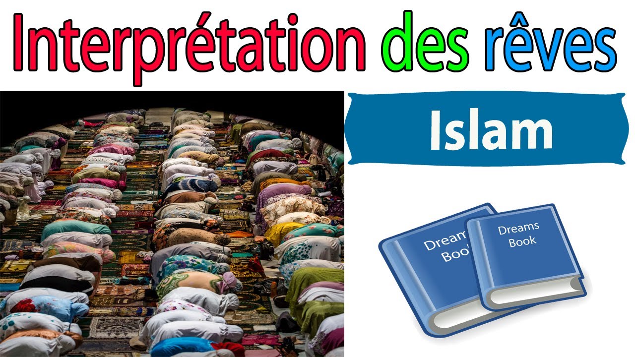 Dream interpretation des reves de chat en Islam | signification rêves