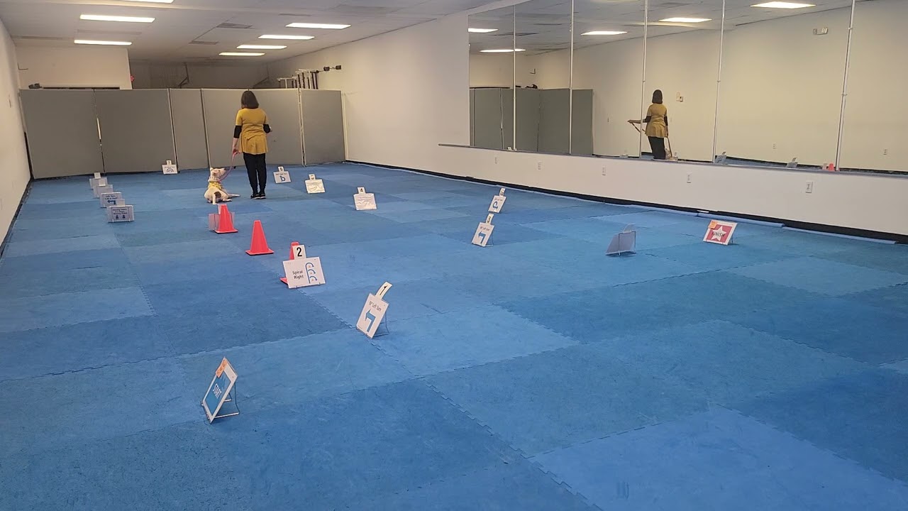 Patch-Qi-Rah Level 1 Cyber Rally-O Saturday 