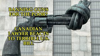 U.S. Gun Control Bill Would Effectively Ban The Poor From Gun Ownership, But Be Ideal For Criminals