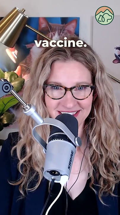 When a Dead Bat Tested Positive IN my Client's Home...