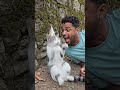 Best Sounds 