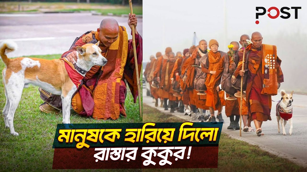 কলকাতার রাস্তার কুকুর যখন শান্তির দূত! | Aloka the Peace Dog | the POST