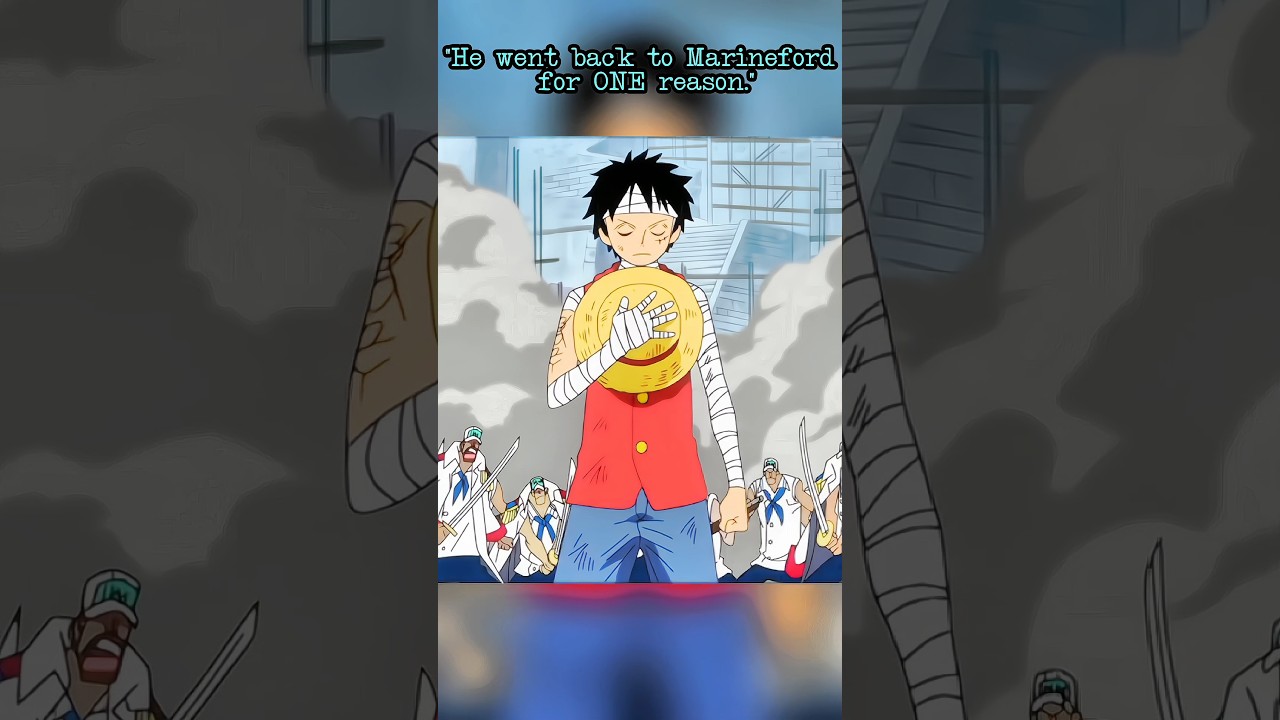 3D 2Y? The Secret Code Explained#3D2Y #Zoro #Sanji