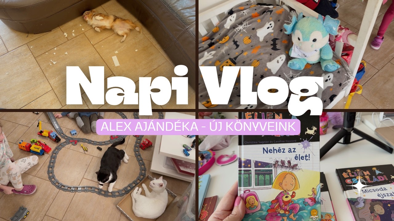 NapiVlog (febr.17-18.) - Alex ajándéka - Új könyveink