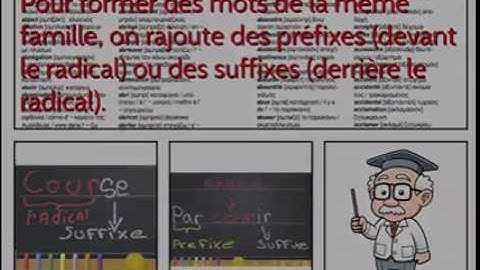 Radical, préfixes, suffixes.