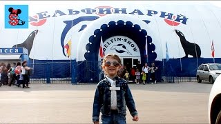 MimiSussi в дельфинарии / шоу дельфинов / Delfin-Show MimiSussi в дельфинарии / шоу дельфинов / Delfin-Show