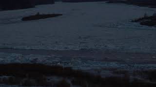 Ледоход на реке Томь 09.04.20 г.