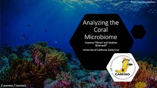 Analyzing the Coral Microbiome