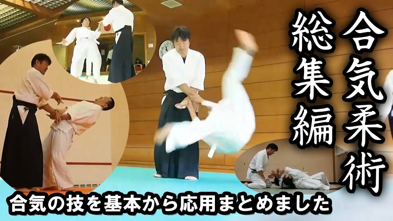 Meishinryu Aiki Jujutsu All Techniques 合気柔術 技紹介 基本から応用まで数十手 99 の凡人が出来る合気シリーズ Youtube