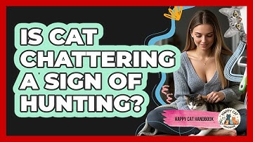 Is Cat Chattering A Sign Of Hunting? - Happy Cat Handbook