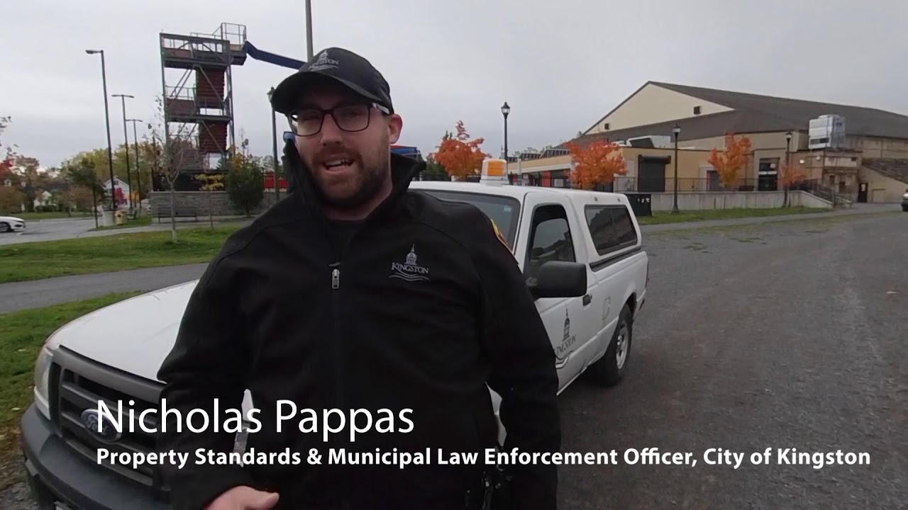 City of Kingston Bylaw Officers investigate offleash dog complaint