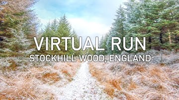 Virtual Run | Stockhill Wood, Mendip Hills in Snow | Treadmill Running Scenery