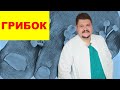 Всё, что вы должны знать про грибок ногтей | МИКОЛОГ АЛЕКСЕЙ ЦЫКИН