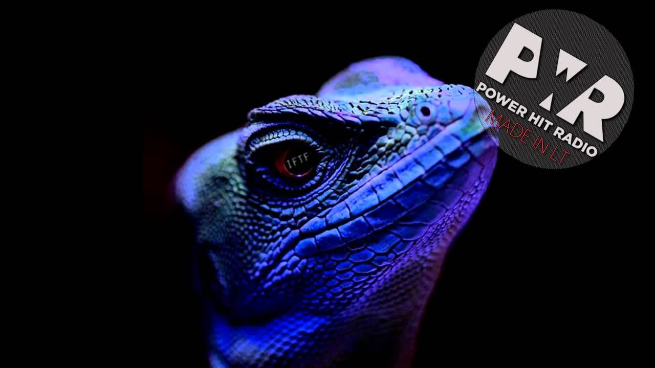 muzika za opustanje Reptile - Hello World