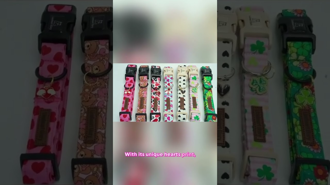 Celebrate Love in Style! 💖🐶  Lionheart Glory Valentine's Dog Collar