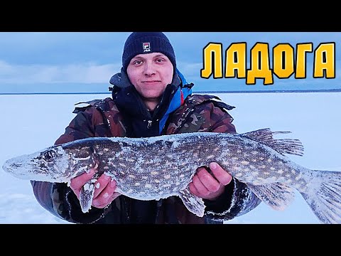 Форум о рыбалке на Ладожском озере