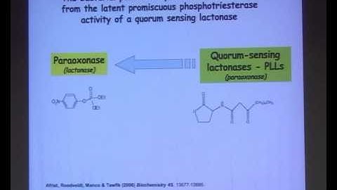 Prof. Dan Tawfik: Protein dynamism and evolvability