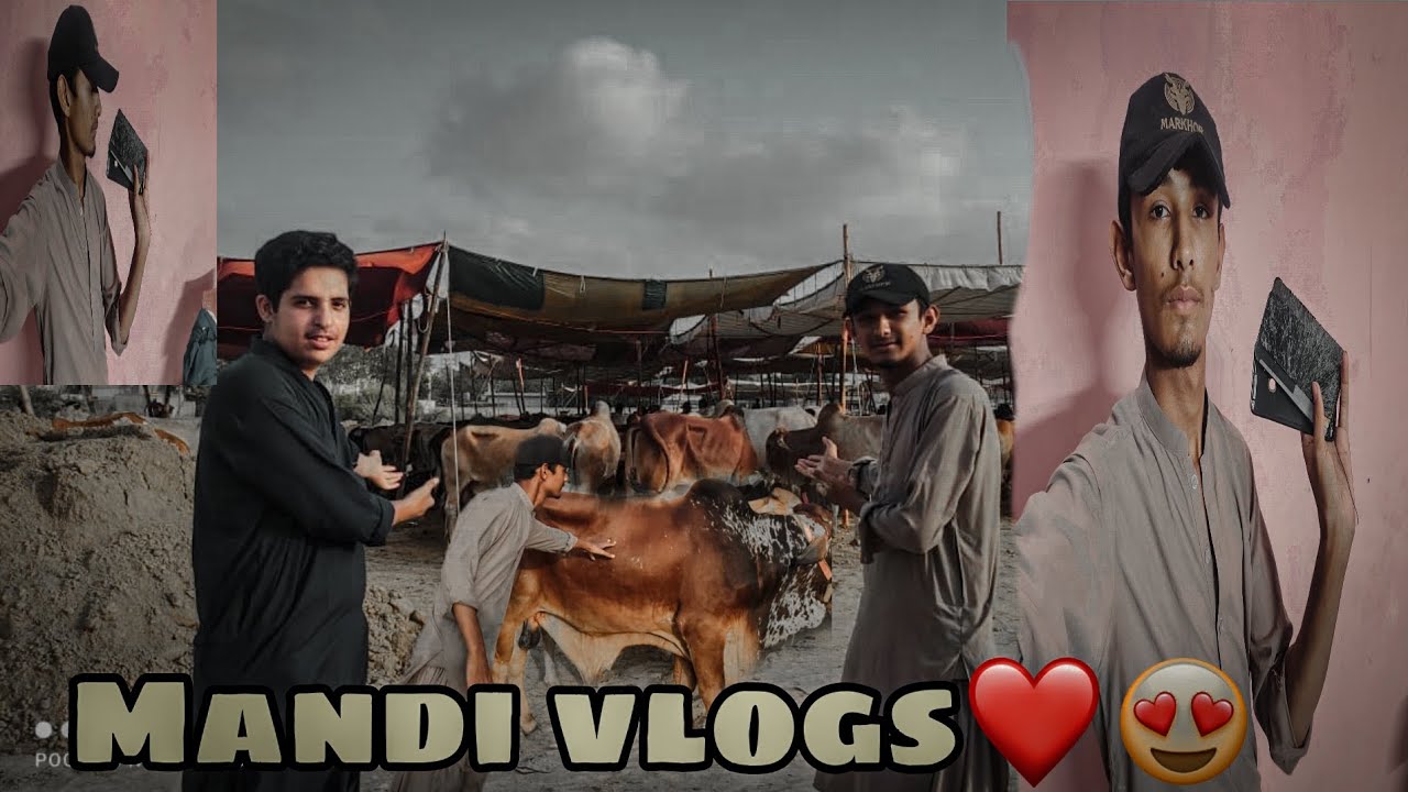 Danish Riaz Aj hum gaye mandi ️😍|main bach gaya😂| Danish Riaz World | Vlog #24 ...