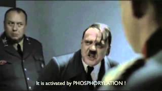 Hitler TCR signaling