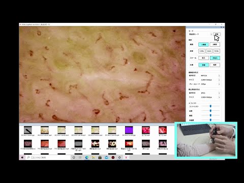 動画