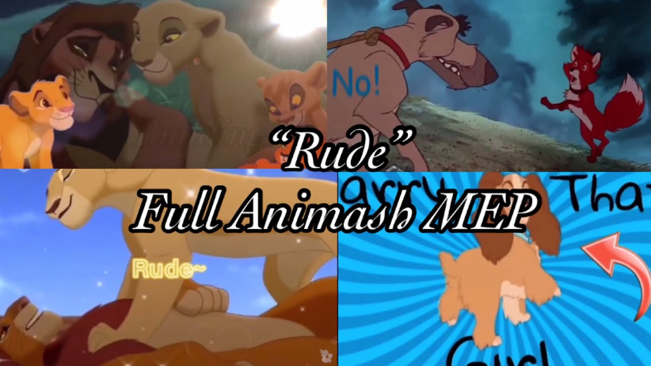 “Rude” full Animash MEP