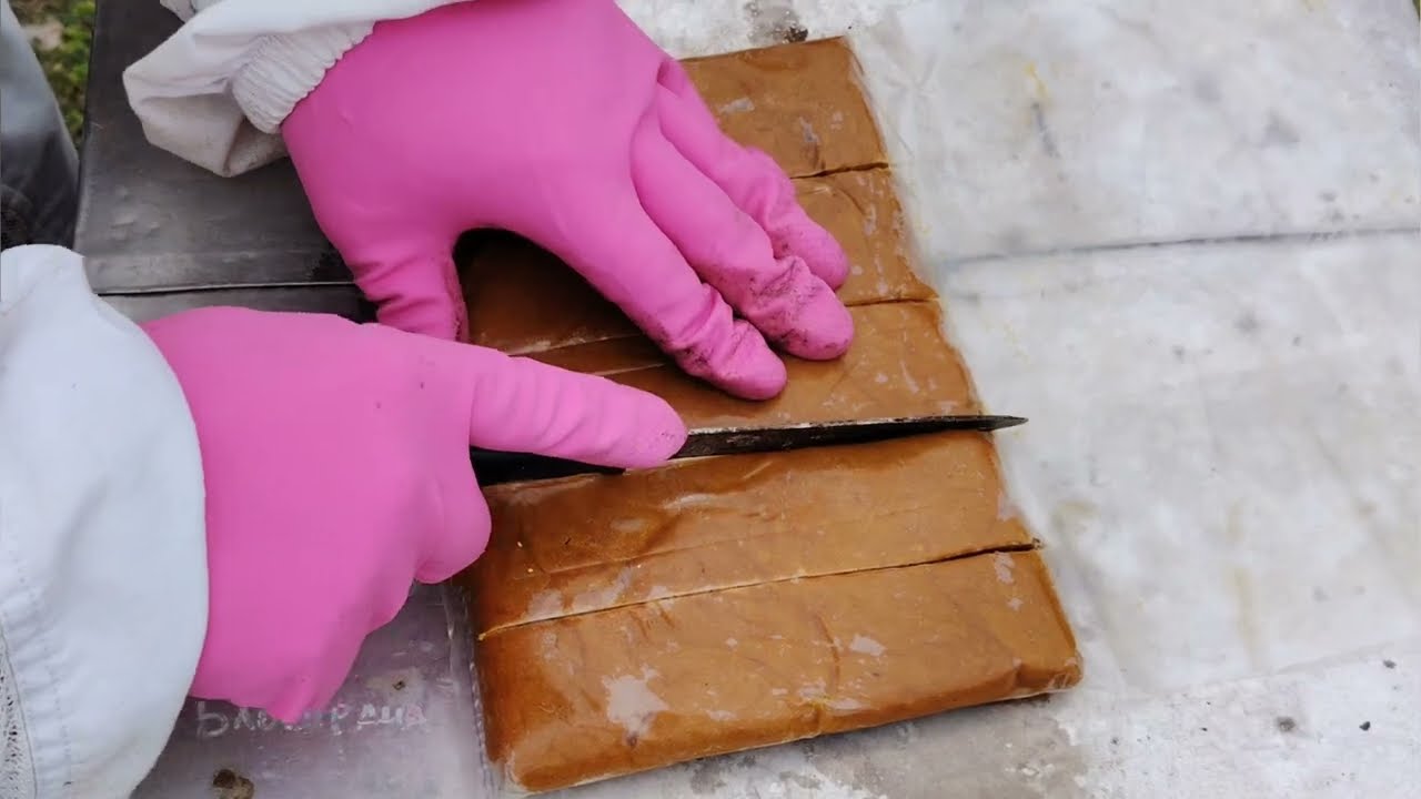 Pripreme za brzi start 01.03.2026.god.