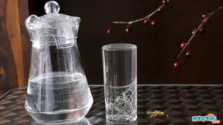 Surface Tension Experiment - Science Project Ideas for Kids | Educational Videos by Mocomi