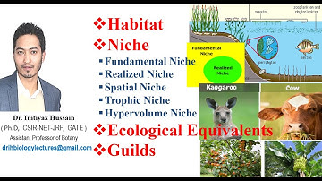 Habitat, Niche, Guilds, Ecological equivalents Fundamental niche Realized Niche Trophic Niche