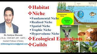 Habitat, Niche, Guilds, Ecological equivalents